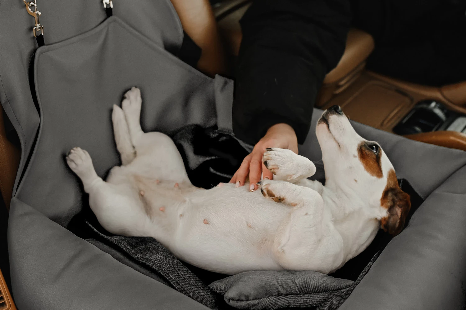 Lowchen Dog Car Seat for Subaru Forester