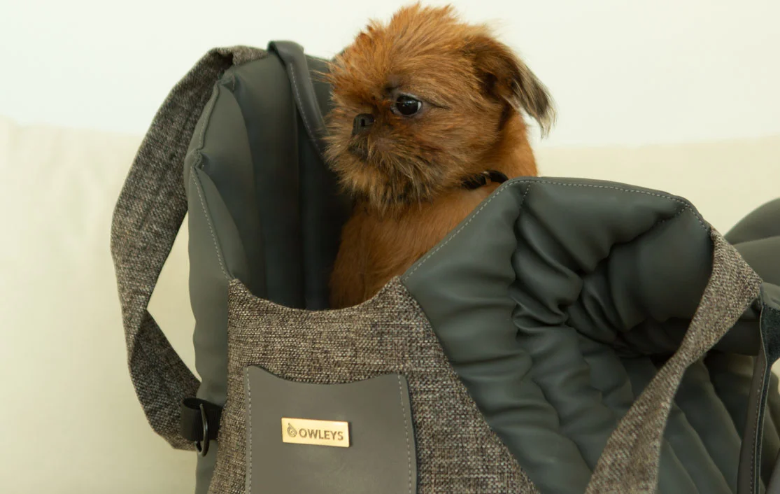GMC Terrain Dog Carrier Car Seat for Japanese Terrier
