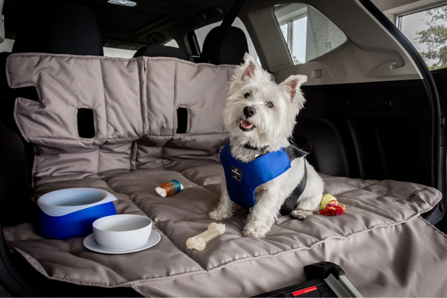 Lowchen Dog Car Seat for Subaru Forester