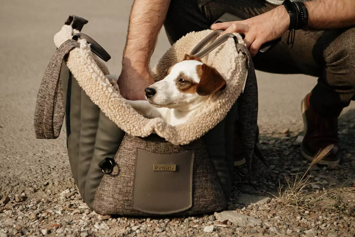 Belgian Griffon Dog Carrier Car Seat for Toyota 4Runner