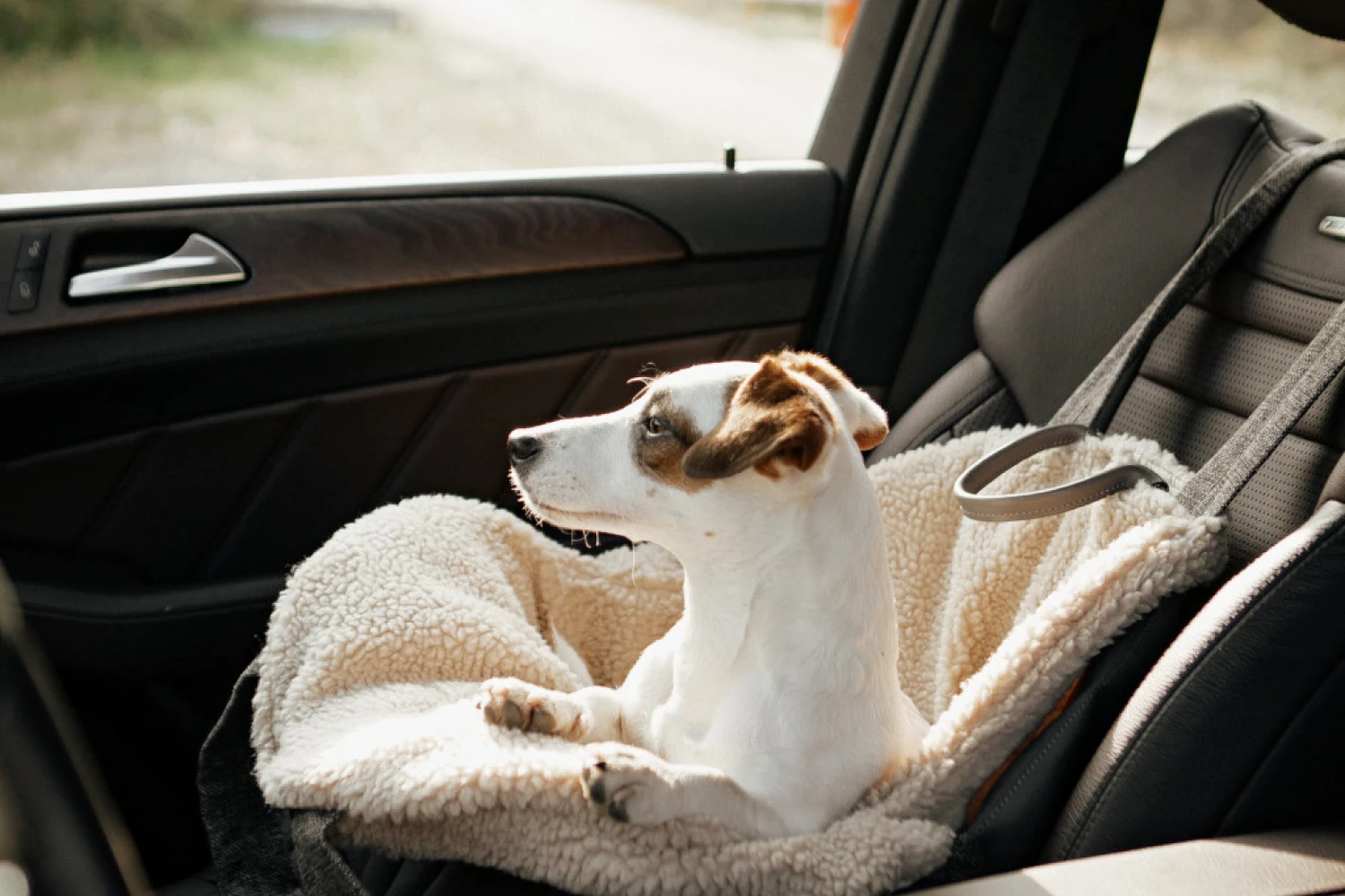 Toy Alaskan Husky Dog Carrier Car Seat for Lexus RX