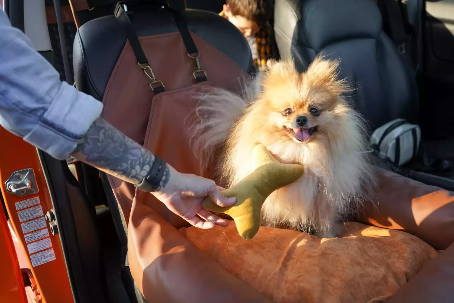 Pekingese Dog Car Seat for Subaru Outback